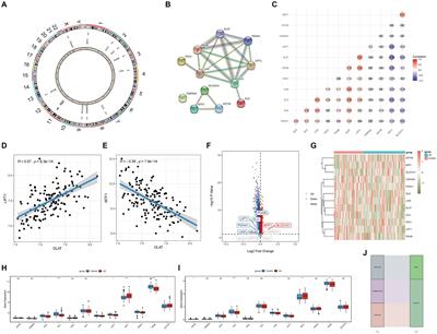 Systematic analysis of cuproptosis-related genes in immunological characterization and predictive drugs in Alzheimer’s disease
